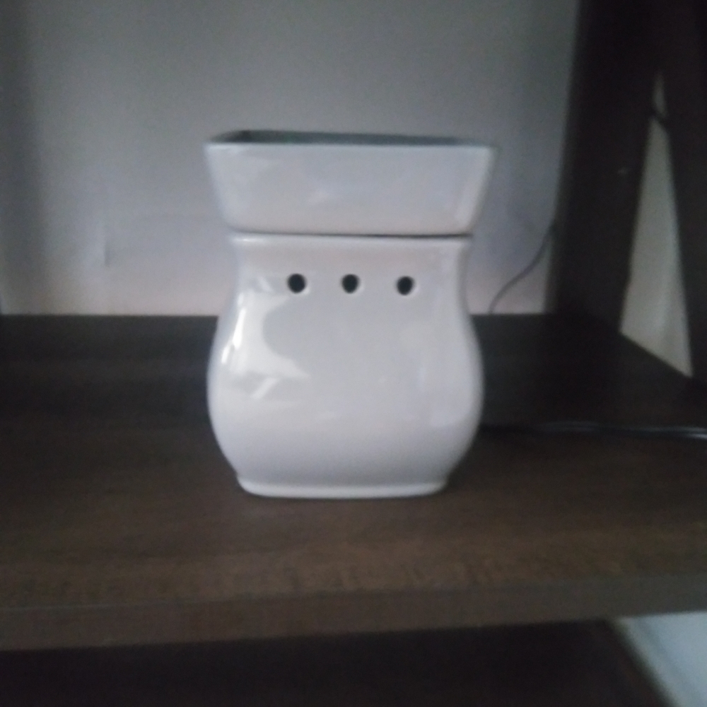 Wax warmer/scented wax